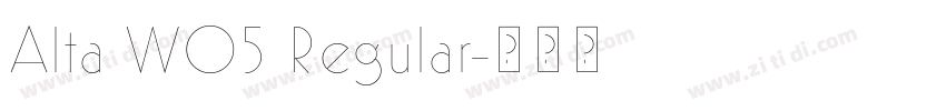 Alta W05 Regular字体转换